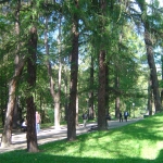 Lądek Zdrój - park, centrum 