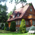 Złota Palma - widok z parku 