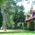 Złota Palma - ogród 